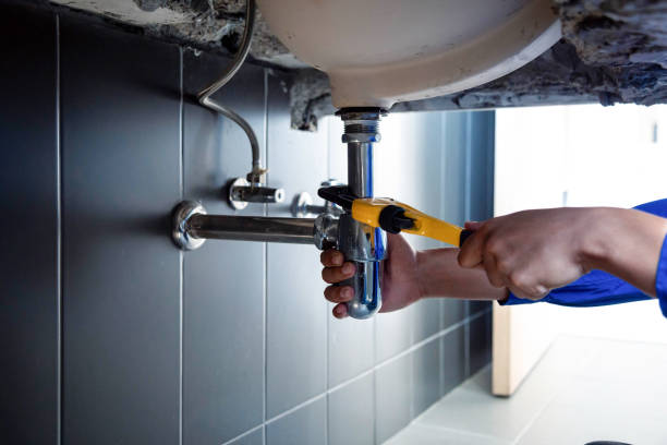 Best Plumbing System Maintenance  in Seneca, MO